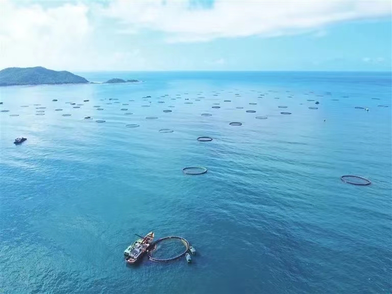 再攀新高！三亞農(nóng)投海洋產(chǎn)業(yè)有限公司成功入選